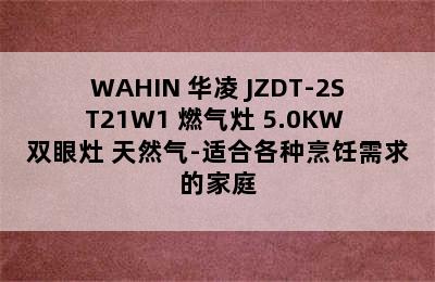 WAHIN 华凌 JZDT-2ST21W1 燃气灶 5.0KW 双眼灶 天然气-适合各种烹饪需求的家庭